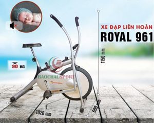 Xe đạp tập thể dục Royal 961
