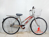 Xe Đạp Việt Nhật Cào Inox Bánh 26