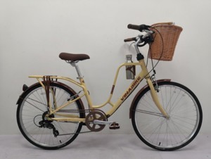 Xe đạp Vinabike LATTE V26