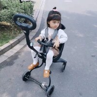 Xe đẩy 2 chiều Baobaohao V1-3