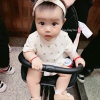 Xe Đẩy 2 Chiều Gấp Gọn Playkid