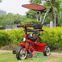 Xe đẩy 3 bánh cho bé T301 nhiều màu