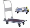 Xe đẩy hàng, tiền Thái Lan 170kg HL-110