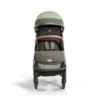 Xe đẩy Joie Parcel Signature Pine