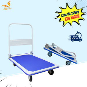 Xe đẩy Phong Thạnh XTB 100DN