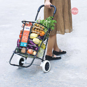 Xe đi chợ có giỏ đa năng Flana LA-8008i