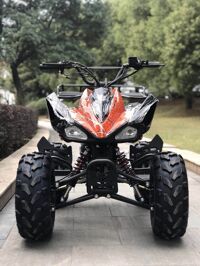 Xe địa hình ATV 125cc