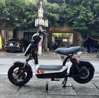 Xe Điện 133S Hkbike Cũ