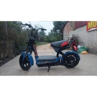 xe điện 133s  không chín bảy bốn ba ba năm hai một sáu nhập khẩu nguyên chiếc ship hàng toàn quốc