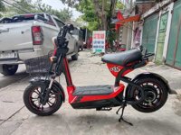 Xe Điện 133S Nhập Đỏ Cũ