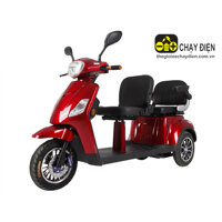 Xe điện 3 bánh 2 chỗ ngồi