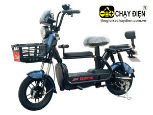 Xe điện 3 bánh Lixi