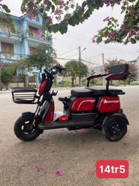 Xe Điện 3 Bánh Mini 2 Chỗ Ngồi