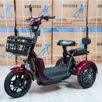 Xe điện 3 bánh nhỏ gọn CT08