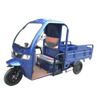 Xe điện 3 bánh, xe ba bánh điện, xe máy điện 3 bánh có mái che cao cấp giá rẻ cho người già, người khuyết tật MEDI-PROCARE MP-WHEEL-EST62