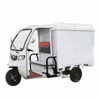 Xe điện 3 bánh, xe ba bánh điện, xe máy điện 3 bánh có mái che giá rẻ cho người già, người khuyết tật MEDI-PROCARE MP-WHEEL-EST53