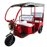 Xe điện 3 bánh, xe ba bánh điện, xe máy điện 3 bánh 2 chỗ ngồi có mái che giá rẻ cho người già, người khuyết tật MEDI-PROCARE MP-WHEEL-EST45