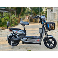 xe điện chạy pin giá rẻ