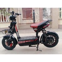 xe điện cũ lướt