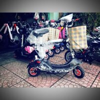 Xe điện E- scooter mini