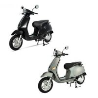 XE ĐIỆN ESPERO CLASSIC PRO