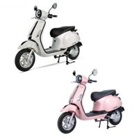 XE ĐIỆN ESPERO CLASSIC SE
