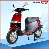 Xe Điện ESPERO GOGO-F1 Pro