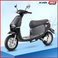 Xe Điện ESPERO GOGO-F2 Pro