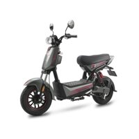 XE ĐIỆN ESPERO T-REX
