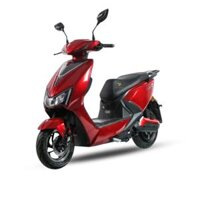 XE ĐIỆN EVGO C