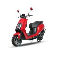 XE ĐIỆN EVGO D