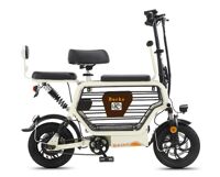Xe điện gấp Burke 15A chính hãng