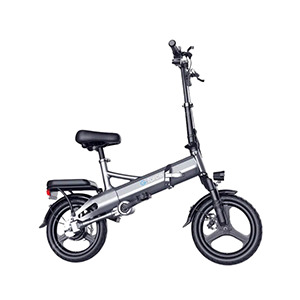 Xe điện gấp gọn G-Force G14