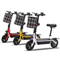 Xe điện gấp gọn - Peter Pan - 18kg - 10 inch, 48V 350w