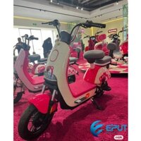 Xe điện giá rẻ