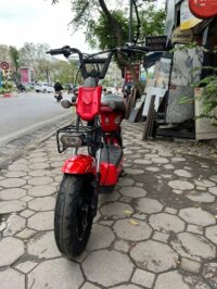 Xe điện Giant 133s plus nhập khẩu nguyên chiếc