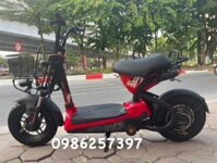 Xe điện  Giant m133 nhập khẩu chính hãng