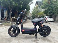 Xe Điện Hkbike 133S Cũ