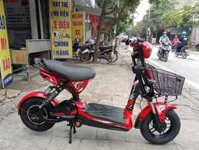 Xe Điện M133 Plus Cũ