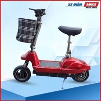 Xe Điện Mini Scooter 10in - Hub Motor