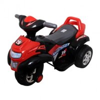 Xe điện mô tô 3 bánh 219