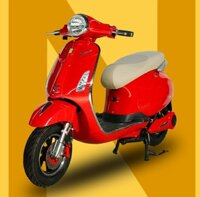 XE ĐIỆN NAPOLI E