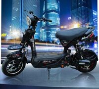 Xe điện PEGA HK BIKE 133