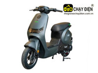 Xe điện Pega Wings
