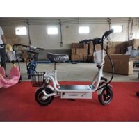 xe điện scooter
