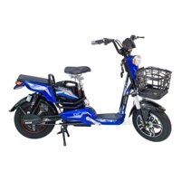 XE ĐIỆN SONSU S10 NEW