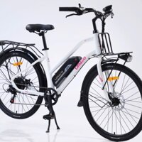 Xe điện trợ lực - ODER