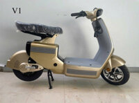 Xe điện V1 - 48V20Ah (Đồng)