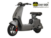 Xe điện V1 Plus Livo