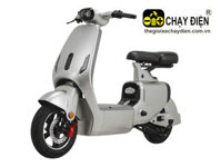 Xe điện V1 Plus MV